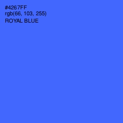 #4267FF - Royal Blue Color Image