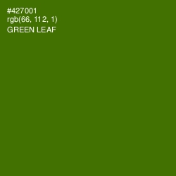 #427001 - Green Leaf Color Image