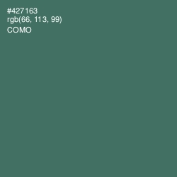 #427163 - Como Color Image
