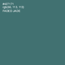 #427171 - Faded Jade Color Image
