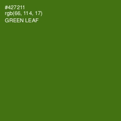 #427211 - Green Leaf Color Image