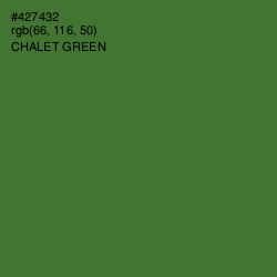 #427432 - Chalet Green Color Image