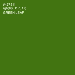 #427511 - Green Leaf Color Image