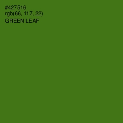 #427516 - Green Leaf Color Image