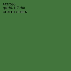 #42753C - Chalet Green Color Image