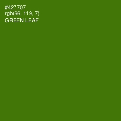 #427707 - Green Leaf Color Image