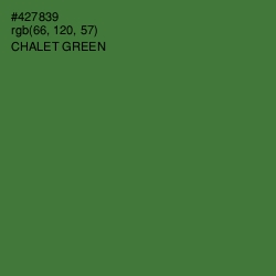 #427839 - Chalet Green Color Image