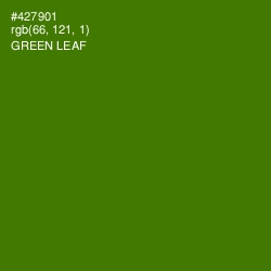 #427901 - Green Leaf Color Image