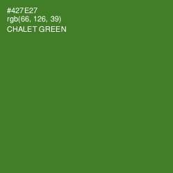 #427E27 - Chalet Green Color Image
