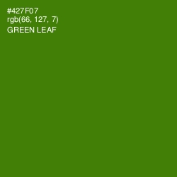 #427F07 - Green Leaf Color Image