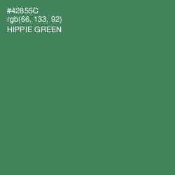 #42855C - Hippie Green Color Image