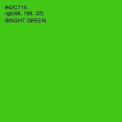 #42C716 - Bright Green Color Image