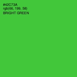 #42C73A - Bright Green Color Image