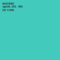 #42CBBD - De York Color Image