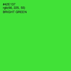 #42E137 - Bright Green Color Image