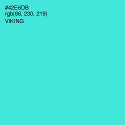 #42E6DB - Viking Color Image