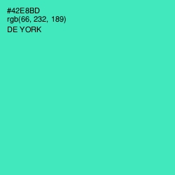 #42E8BD - De York Color Image