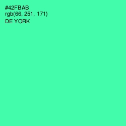 #42FBAB - De York Color Image