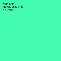 #42FBAF - De York Color Image