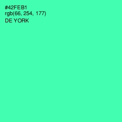 #42FEB1 - De York Color Image