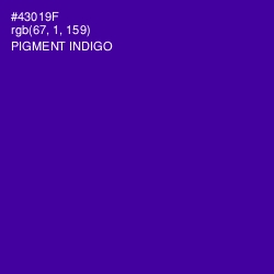 #43019F - Pigment Indigo Color Image