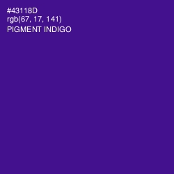 #43118D - Pigment Indigo Color Image