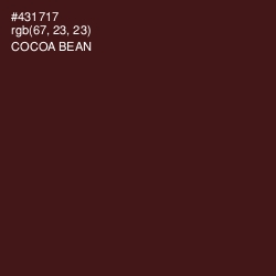 #431717 - Cocoa Bean Color Image
