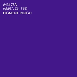 #43178A - Pigment Indigo Color Image