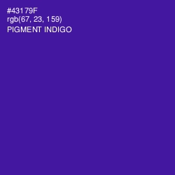 #43179F - Pigment Indigo Color Image