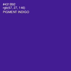 #431B92 - Pigment Indigo Color Image