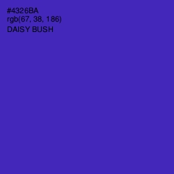 #4326BA - Daisy Bush Color Image