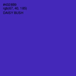 #4328B9 - Daisy Bush Color Image