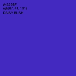 #4329BF - Daisy Bush Color Image