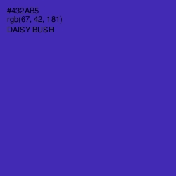 #432AB5 - Daisy Bush Color Image