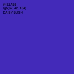 #432AB8 - Daisy Bush Color Image