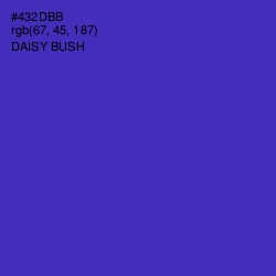 #432DBB - Daisy Bush Color Image