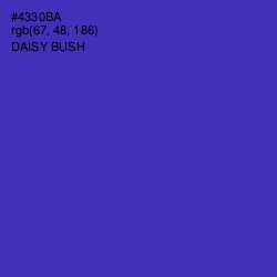 #4330BA - Daisy Bush Color Image