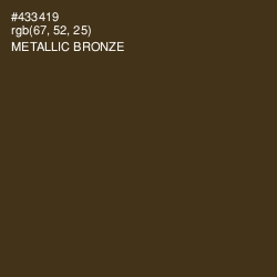 #433419 - Metallic Bronze Color Image