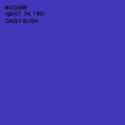 #4336B9 - Daisy Bush Color Image