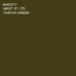 #433D17 - Thatch Green Color Image