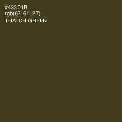 #433D1B - Thatch Green Color Image