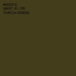 #433D1C - Thatch Green Color Image