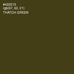 #433E15 - Thatch Green Color Image