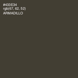 #433E34 - Armadillo Color Image
