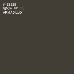 #433E35 - Armadillo Color Image
