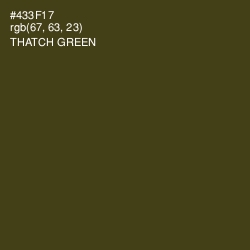 #433F17 - Thatch Green Color Image