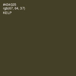 #434025 - Kelp Color Image