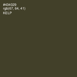 #434029 - Kelp Color Image