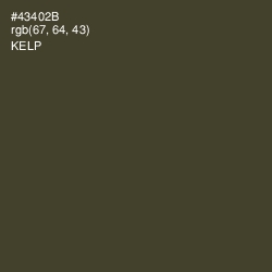 #43402B - Kelp Color Image