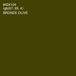 #434104 - Bronze Olive Color Image